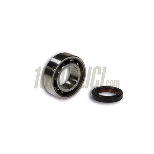 Kit Cuscinetto e paraolio 22x32x6 MALOSSI 