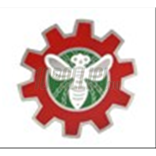Badge Vespa red/green/white, metal, Ø 62 mm, round, varnished, to glue