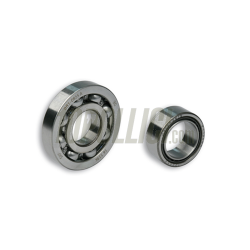 Bearing set 20X47X14 C3 cylinder roller and 17X47X14 C3 (6303) MALOSSI