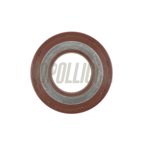 Oil seal BGM PRO 31x62,1x4,3/5,8 FKM/Viton