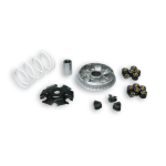 Variator MALOSSI Multivar 2000, for Vespa GTS, GTS Super, GTV, GT 60, GT, GT L 200-300ccm, also for PIAGGIO Leader, Quasar 200-300cc, 4-stroke LC 20x17 mm, 14,0/16,0 g