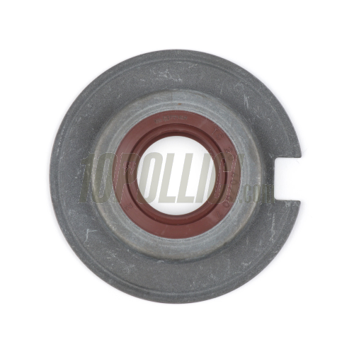 Oil seal  BGM PRO 20x40/60x7 FKM/Viton