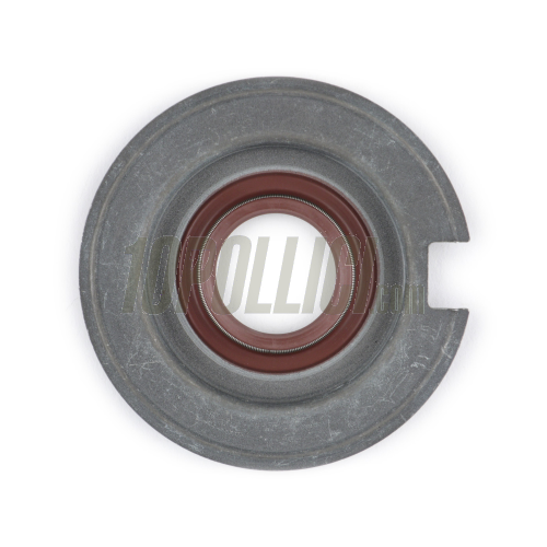 Oil seal  BGM PRO 20x40/60x7 FKM/Viton