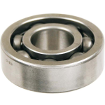Bearing SKF 6004 20x42x12