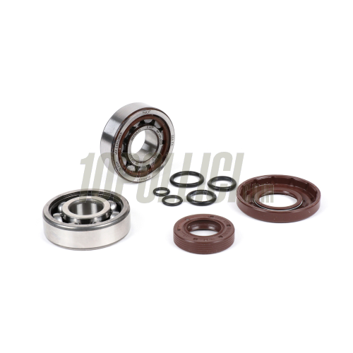 Kit cuscinetti e paraolio per albero motore -BGM ORIGINAL- Vespa V50, PV125, ET3, PK50, PK80, PK125 - 1x 6303 + 1x NU204 - compresi O-Ring 