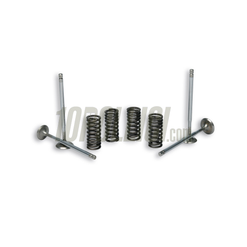 Valvole con molle MALOSSI 4-Stroke Valve per testa cilindro originale