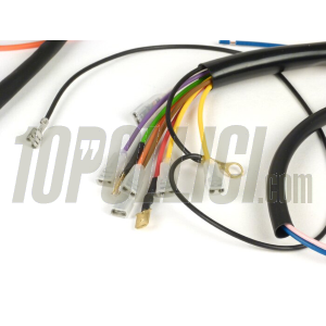 Wiring loom set BGM PRO, Vespa AC, conversion to Vespatronic electronic ignition, Vespa 50 Special,  incl. light switch 