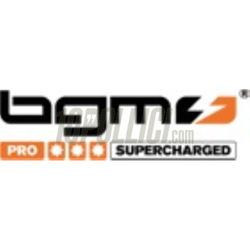 Regolatore di tensione BGM PRO 12V DC Wassell/PODtronic - universale