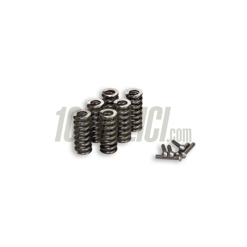 Springs set MALOSSI for elastic repair kit - Vespa PX 125-150-200, T5, Cosa