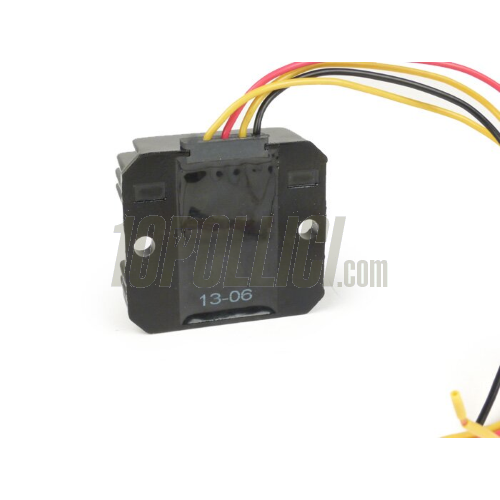 Regolatore di tensione BGM PRO 12V DC Wassell/PODtronic - universale