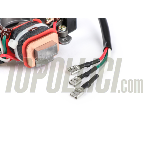 Electronic ignition 6V baseplate for Piaggio Ciao, Bravo, Sì, Boxer, Boss, Grillo, Super Bravo