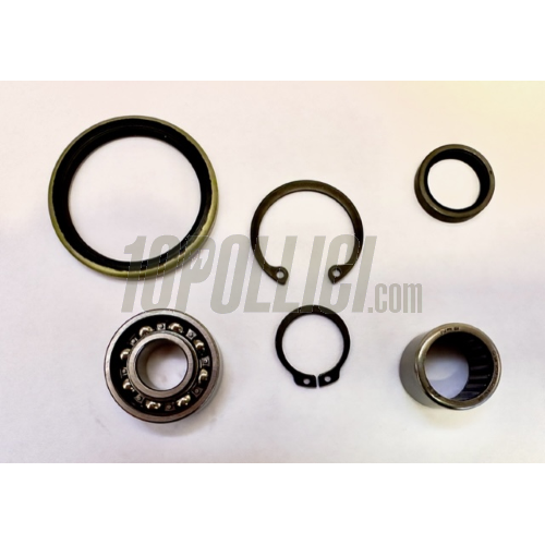 KIT REVISIONE MOZZO TAMBURO FORCELLA ANTERIORE PER VESPA DAL 1981 AL 1997, PX 80-125-150-200,  PE, ARCOBALENO-80-125-150-200-T5, COSA-CL-CLX-COSA 2