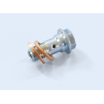 Vite adattatore raccordo POLINI per tubo freno, Ø 10mm, filetto M8