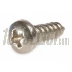 Nose grille and horn screw 2.9x9.5 mm, Phillips head screw