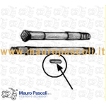 Kit 36 rulli per perno mozzo anteriore Vespa 160 GS, 180 SS