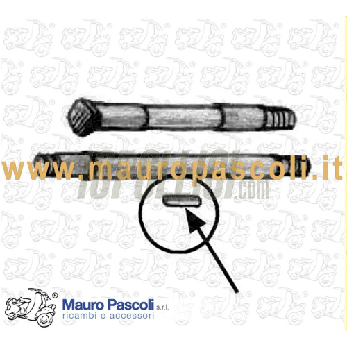 Kit of 36 rollers for front hub axle Vespa 160 GS, 180 SS, aluminium mat