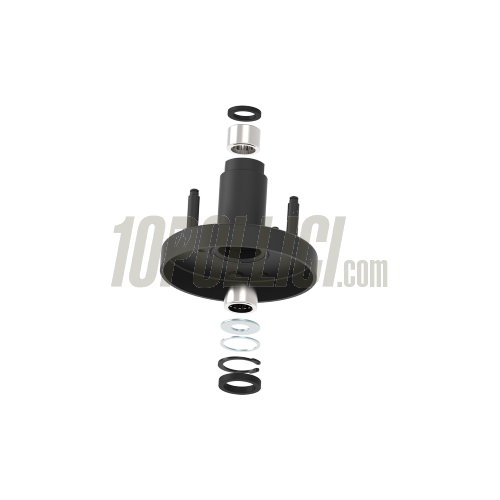 Fixed hub fly Clutch Kit MALOSSI - Piaggio Ciao, Sì, Bravo, Superbravo, Boxer