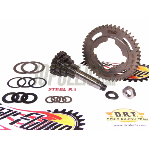 Input shaft assembly DRT 10-14-16-19 teeth + z 49 FENIX RACE F1 Vespa 50, 90, 125 ET3 Primavera, PK