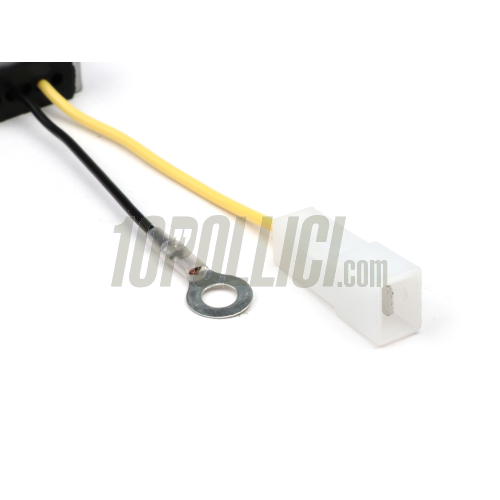 Tension regulator BGM PRO 6V AC/DC