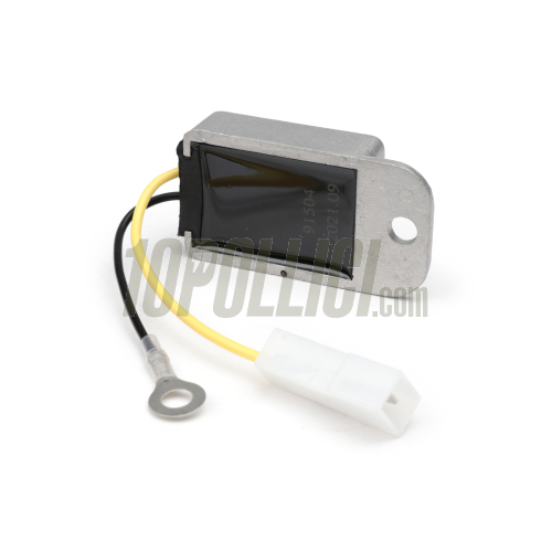 Tension regulator BGM PRO 6V AC/DC
