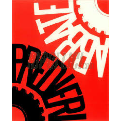 Mudguard Piaggio COSA 2 - plastic