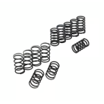 Springs set for clutch BFA FPX4 vespa Largeframe