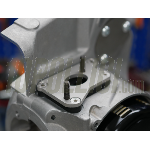 Intake manifold reed valve MOTORISTICA MERIDIONALE for SI 24 and 26 carburetor, Malossi VR-ONE crankcase