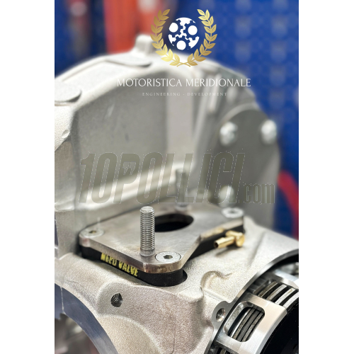 Intake manifold reed valve MOTORISTICA MERIDIONALE for SI 24 and 26 carburetor, Malossi VR-ONE crankcase