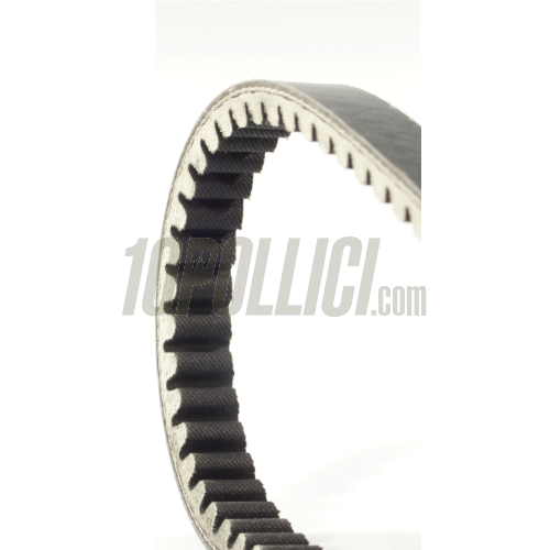 Cogged belt DAYCO, Vespa PK50 XL2 N Automatica/Plurimatic