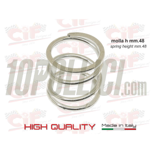Clutch CIF "Monomolla" by Fabbri Racing Vespa 50, 90, 125 Primavera, ET3, PK 50-125