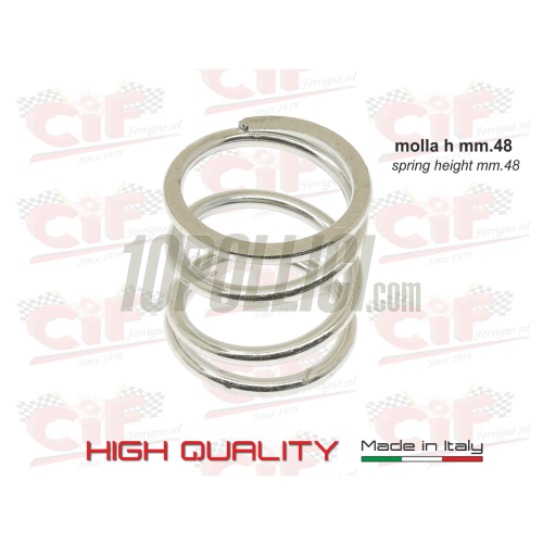 Clutch CIF "Monomolla" by Fabbri Racing Vespa 50, 90, 125 Primavera, ET3, PK 50-125