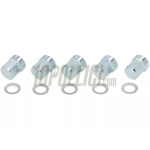 Nuts set BGM PRO M8x1.25 for tubeless rims - galvanized - 5 pieces