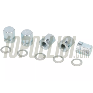 Nuts set BGM PRO M8x1.25 for tubeless rims - galvanized - 5 pieces