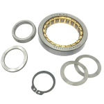 Bearing CRIMAZ reinforced NUP 25X47X8 (16005)