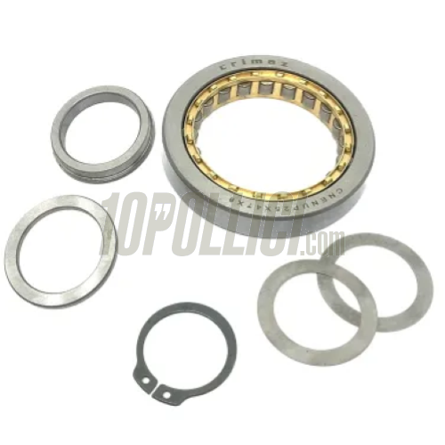 Bearing CRIMAZ reinforced NUP 25X47X8 (16005)