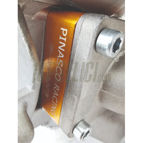 Engine kit PINASCO Zuera Monster 251cc Vespa Smallframe