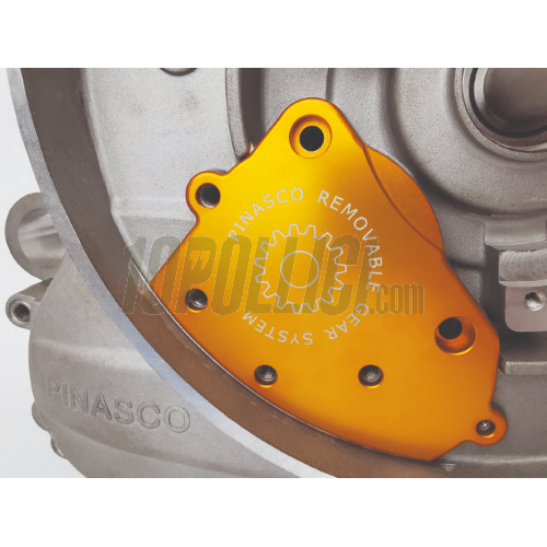 Engine kit PINASCO Zuera Monster 251cc Vespa Smallframe