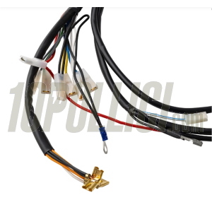 Impianto elettrico Piaggio Cosa 1 125-200