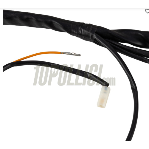 Impianto elettrico Piaggio Cosa 1 125-200