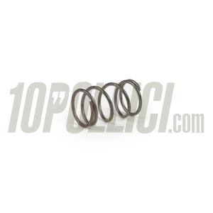 Clutch springs set BGM PRO Vespa Largeframe - 7 springs