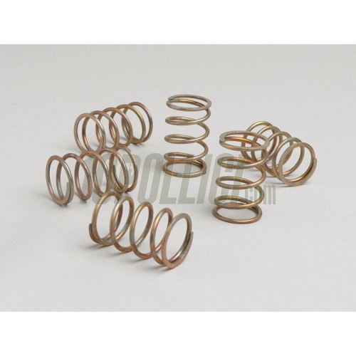 Clutch springs set DR Vespa Largeframe - 6 springs