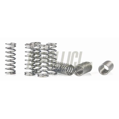 SPORT Clutch W1R Vespa Largeframe