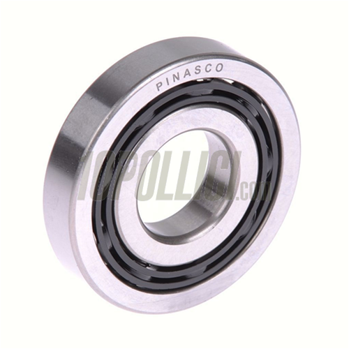 Bearing 25X62X12 PINASCO