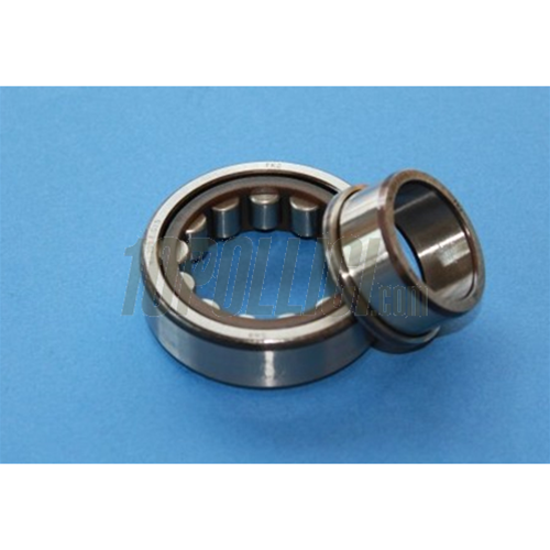 Bearing 25X52X15 NJ 205 ETC3