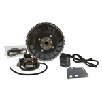 FLYTECH PINASCO IGNITION VESPA PX 125-150-200 ELESTART Ø 20 / KG. 1,6