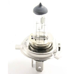 Bulb bilux 12V 35/35W HS1